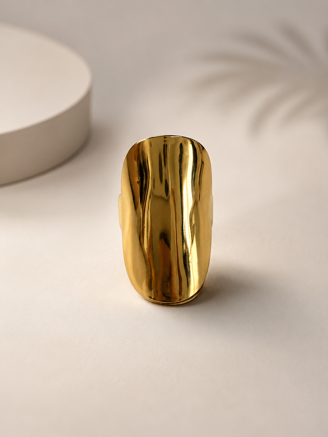 ANILLO MARISMA