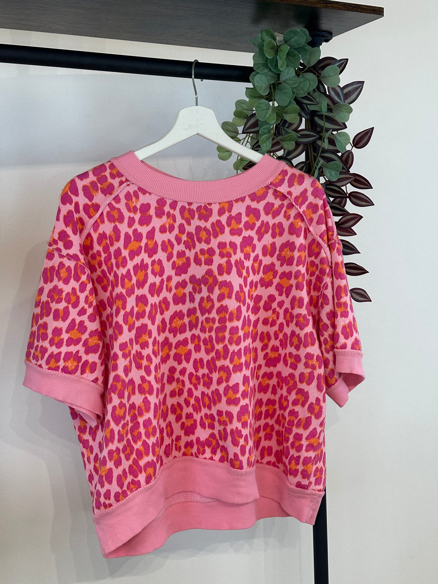 CAMISETA/SUDADERA ANIMAL PRINT