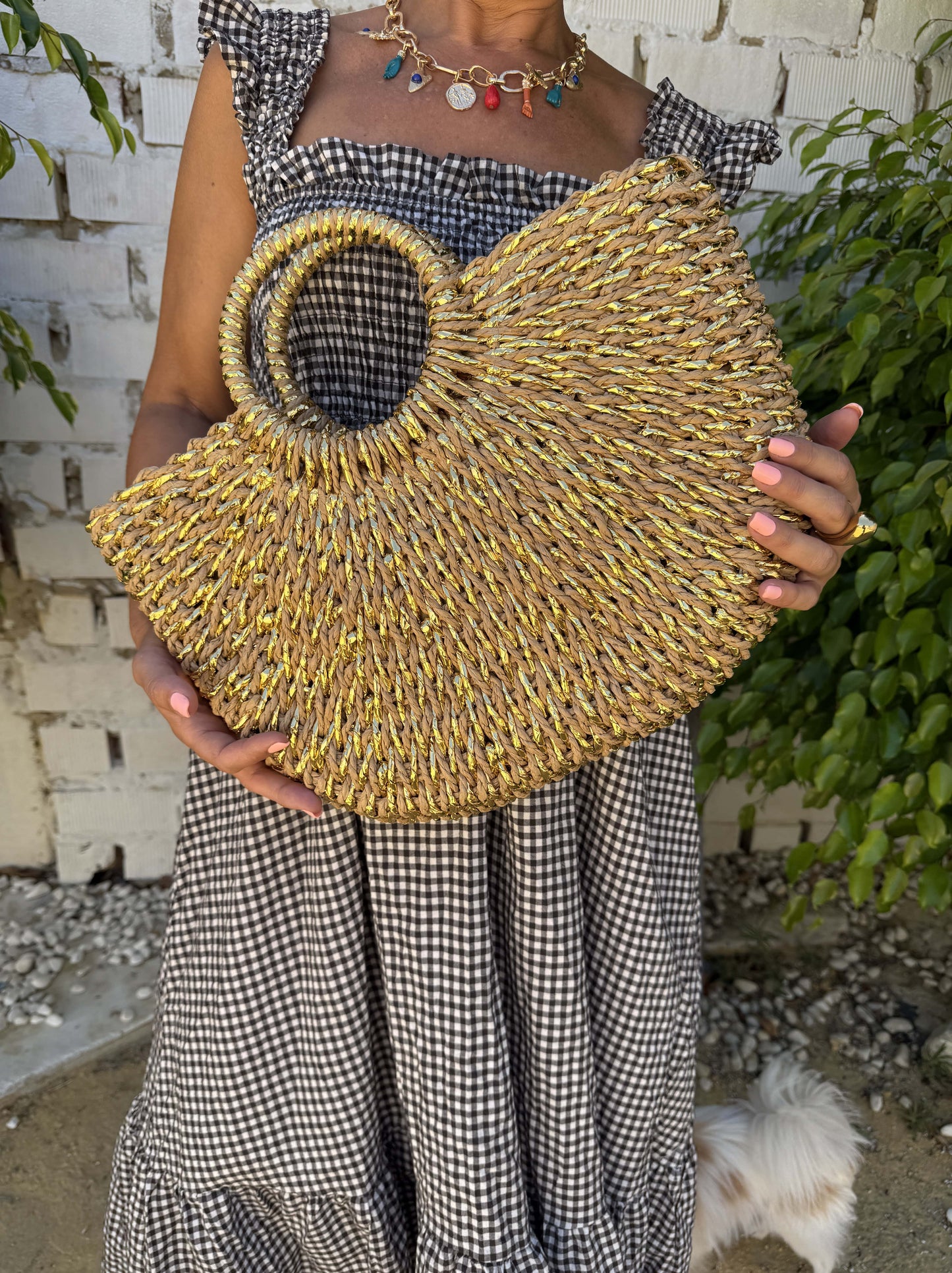 CESTA SOFI
