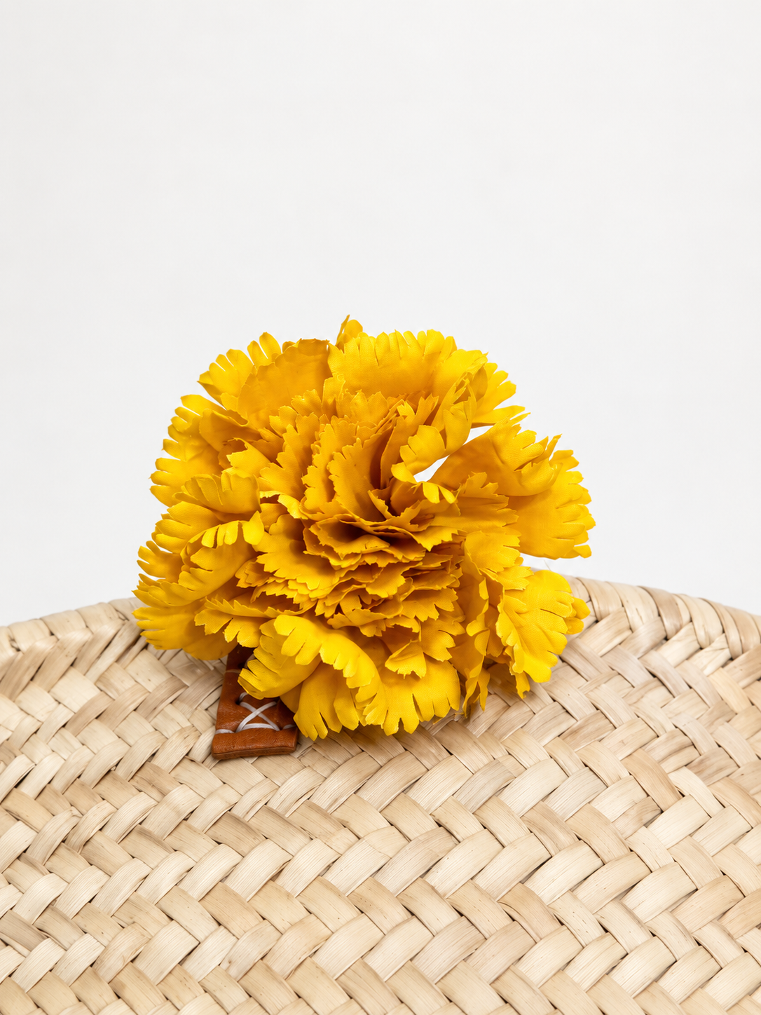 CLAVEL DE FLAMENCA EXTRA