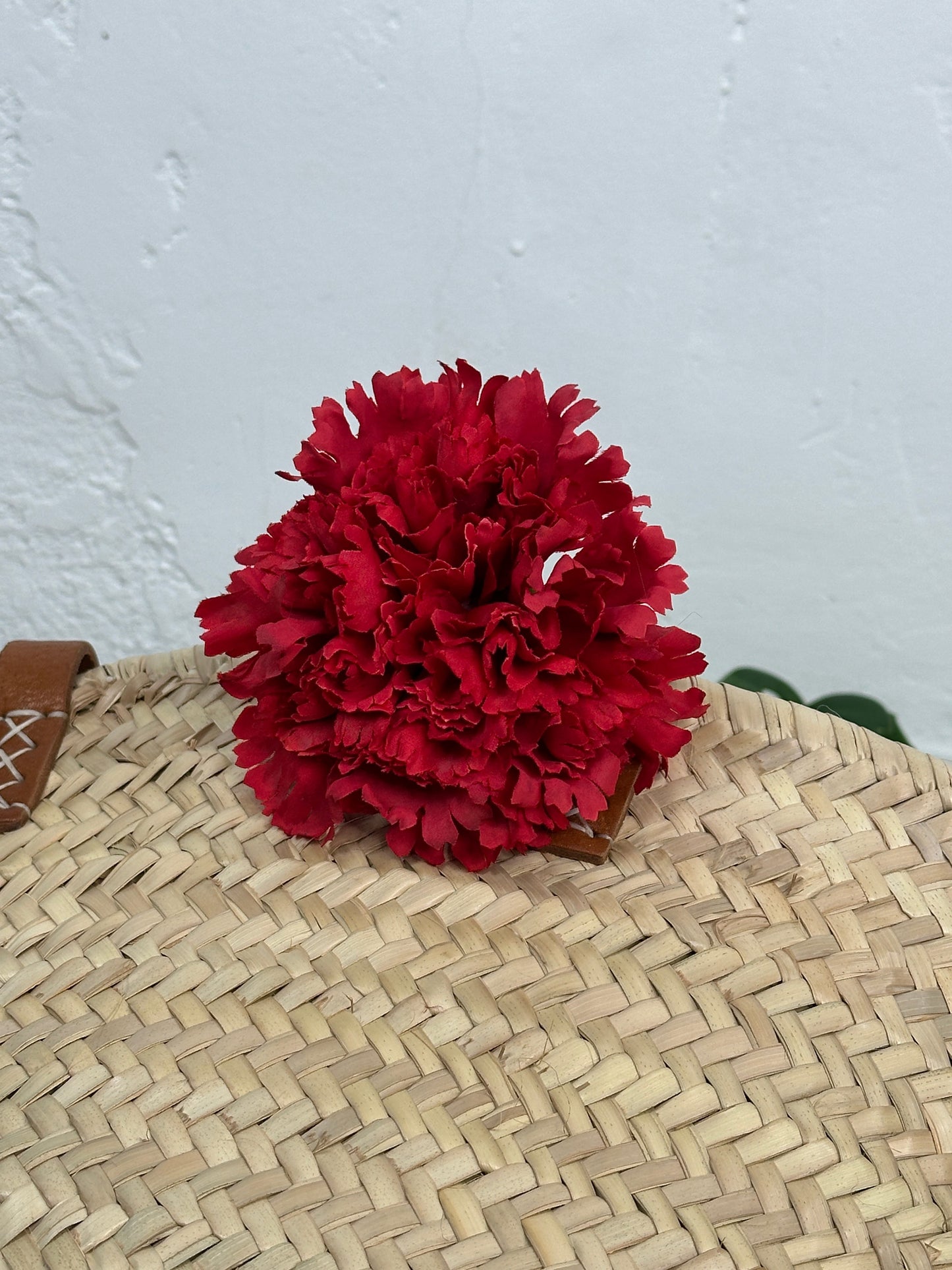 CLAVEL GRANDE FLAMENCA