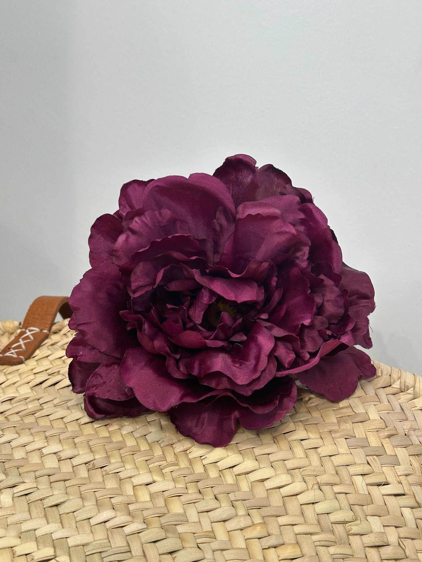 PEONIA AURORA FLAMENCA