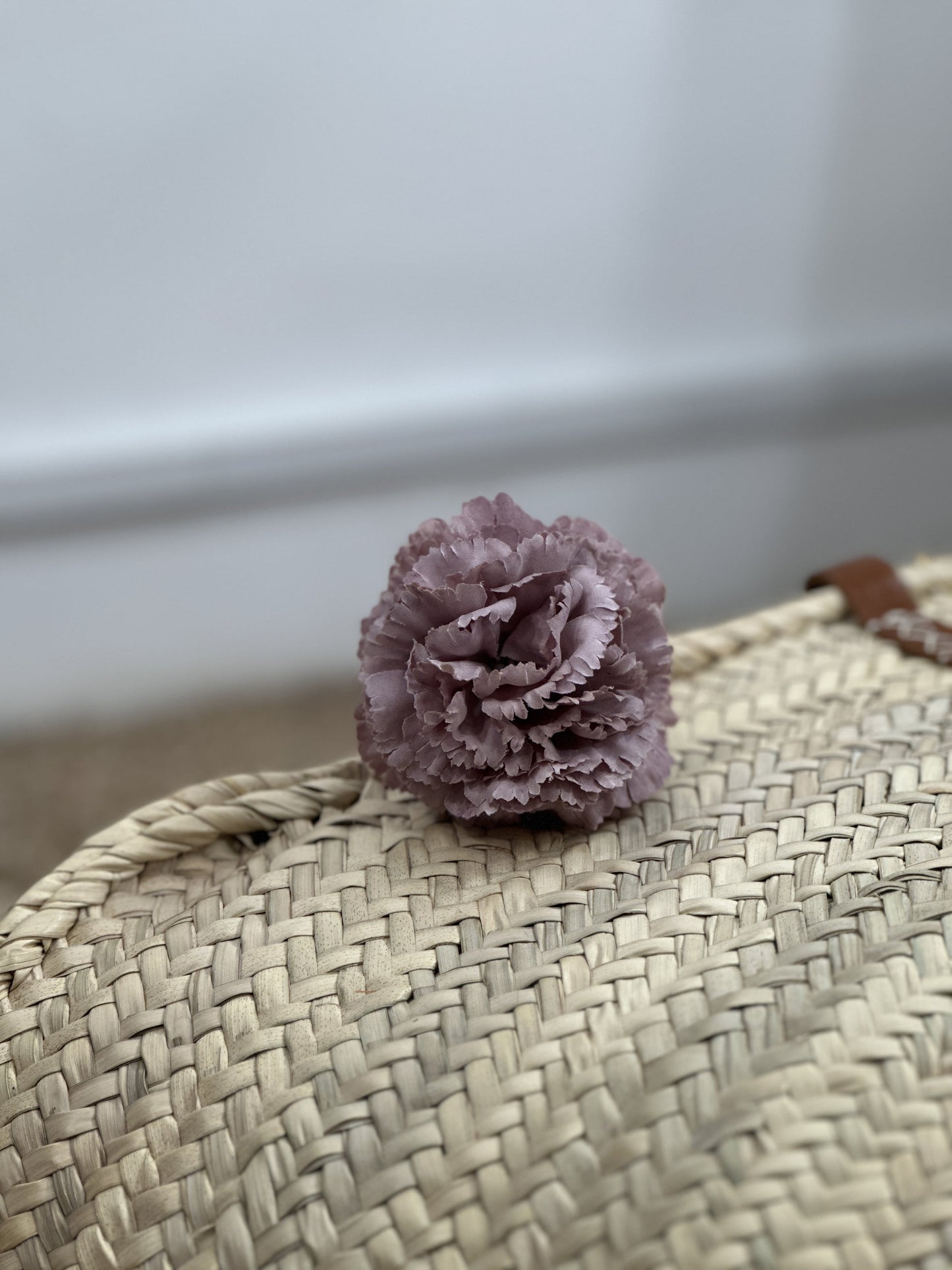 CLAVEL PEQUEÑO FLAMENCA