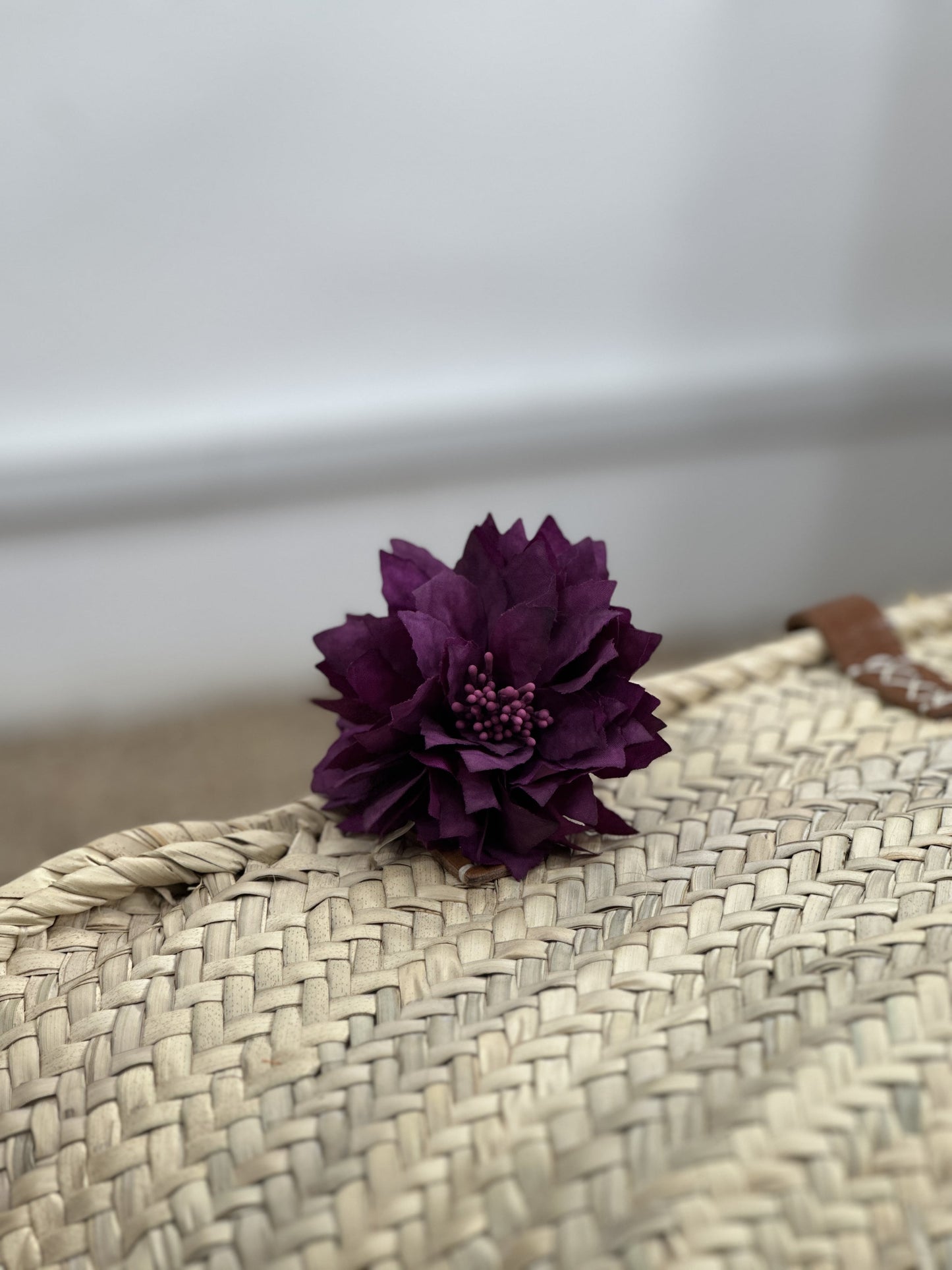 CRISANTEMO PEQUEÑO FLAMENCA