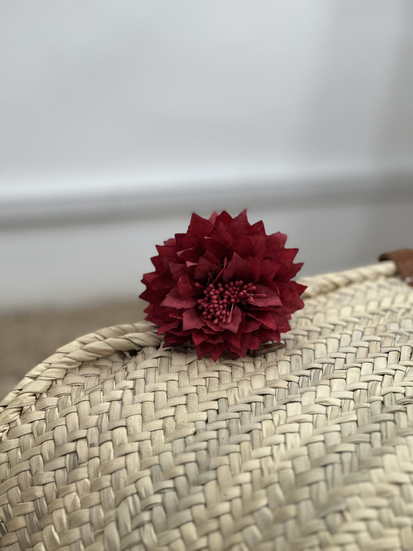 CRISANTEMO PEQUEÑO FLAMENCA