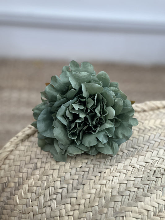 PEONÍA MEDIANA FLAMENCA