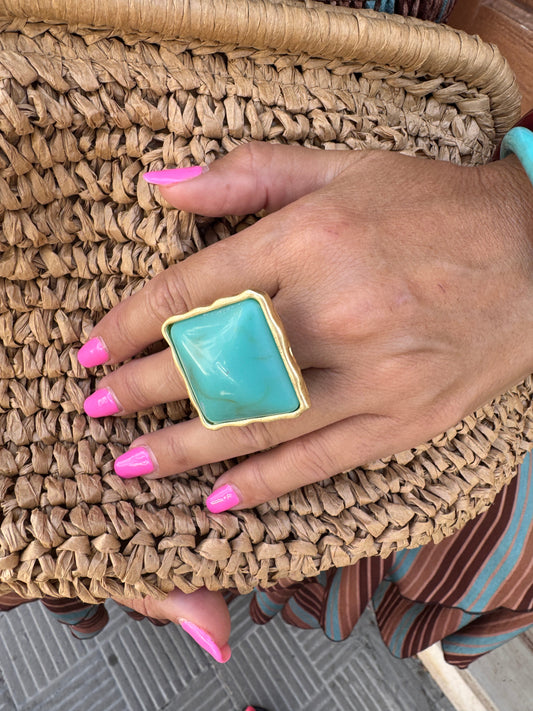 ANILLO CALACHICA