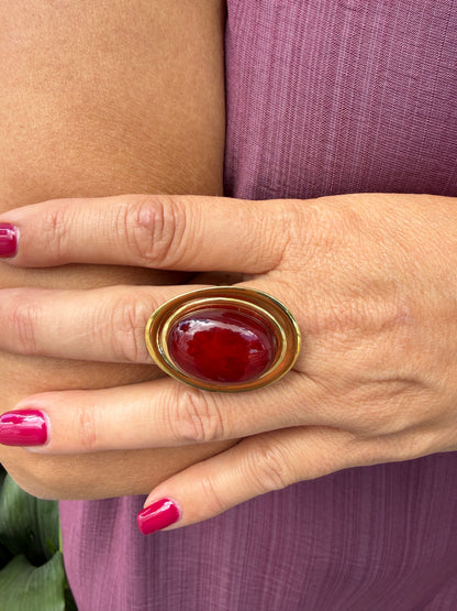 ANILLO ÓRBITA