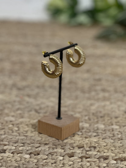 ARGOLLA ANCHA LÍNEAS