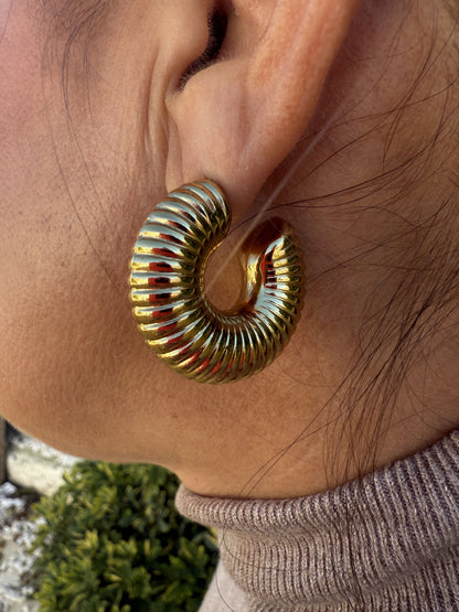 ARGOLLA ANCHA LÍNEAS