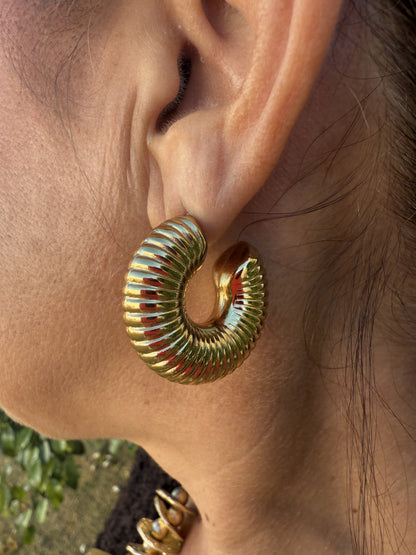 ARGOLLA ANCHA LÍNEAS