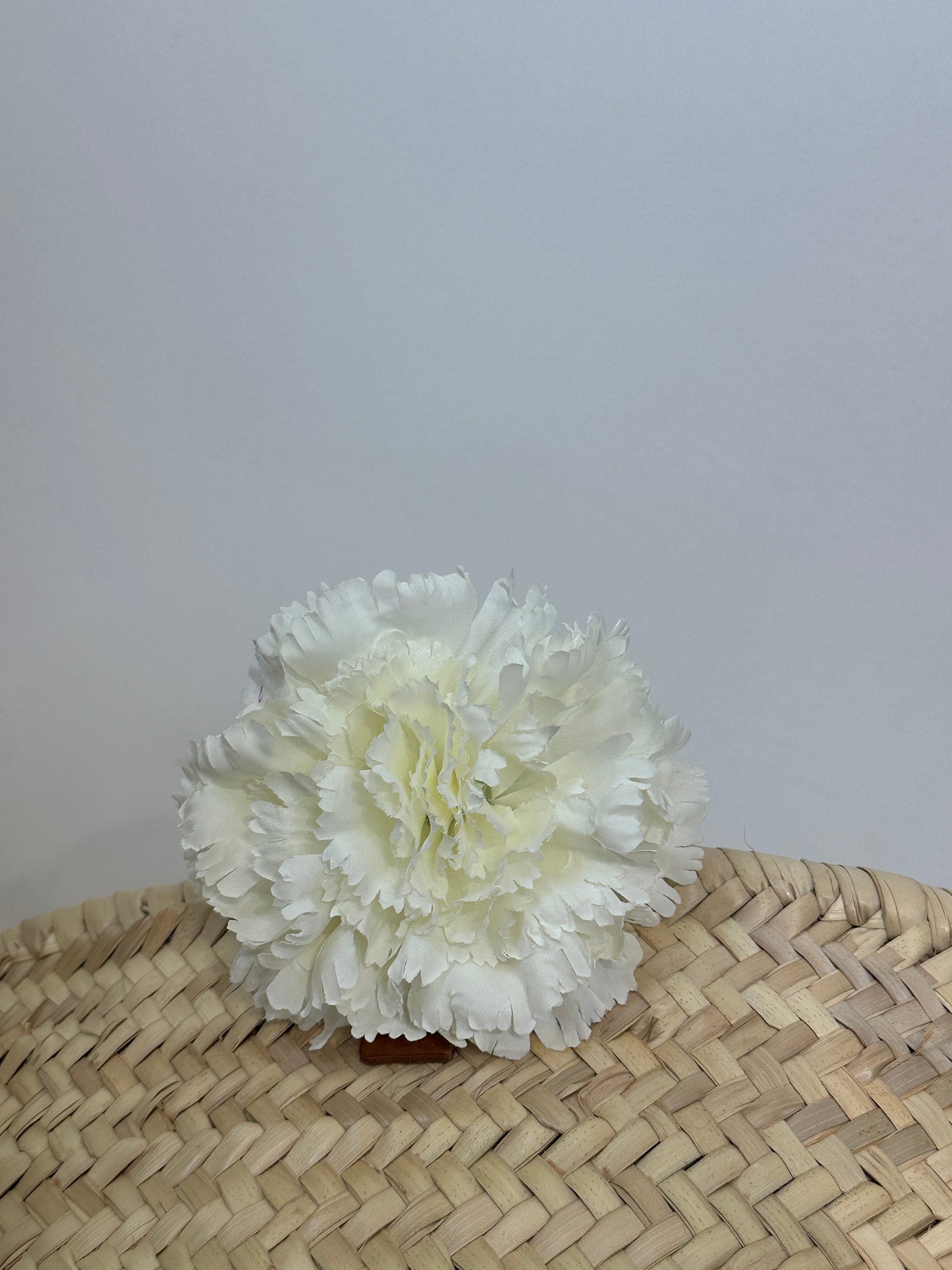 CLAVEL DE FLAMENCA EXTRA