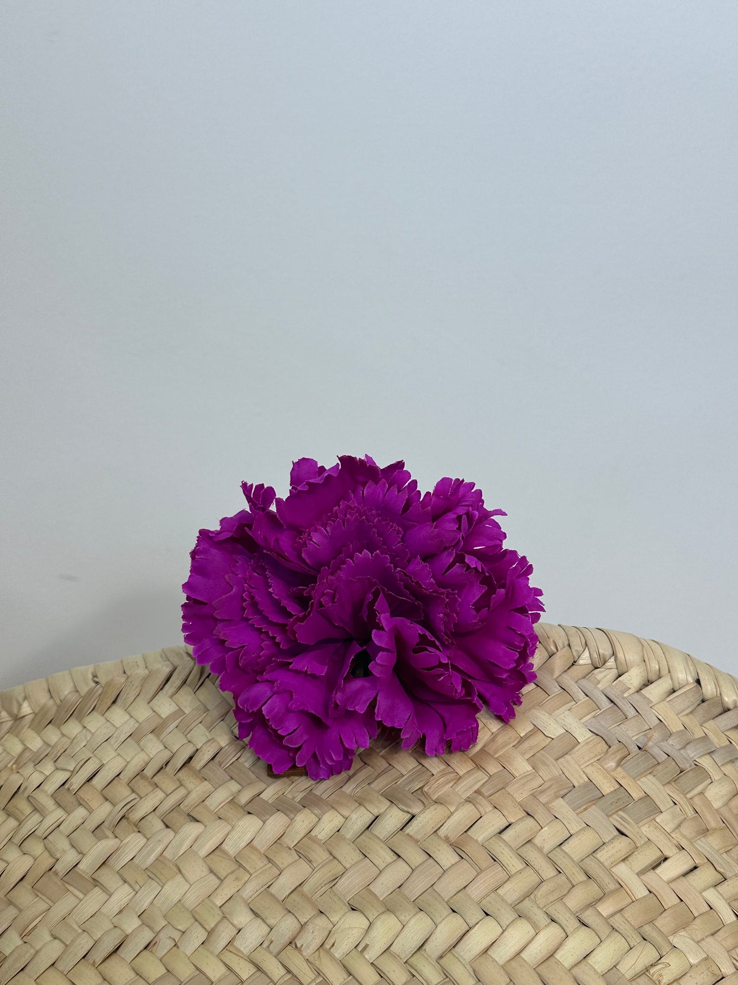 CLAVEL DE FLAMENCA EXTRA