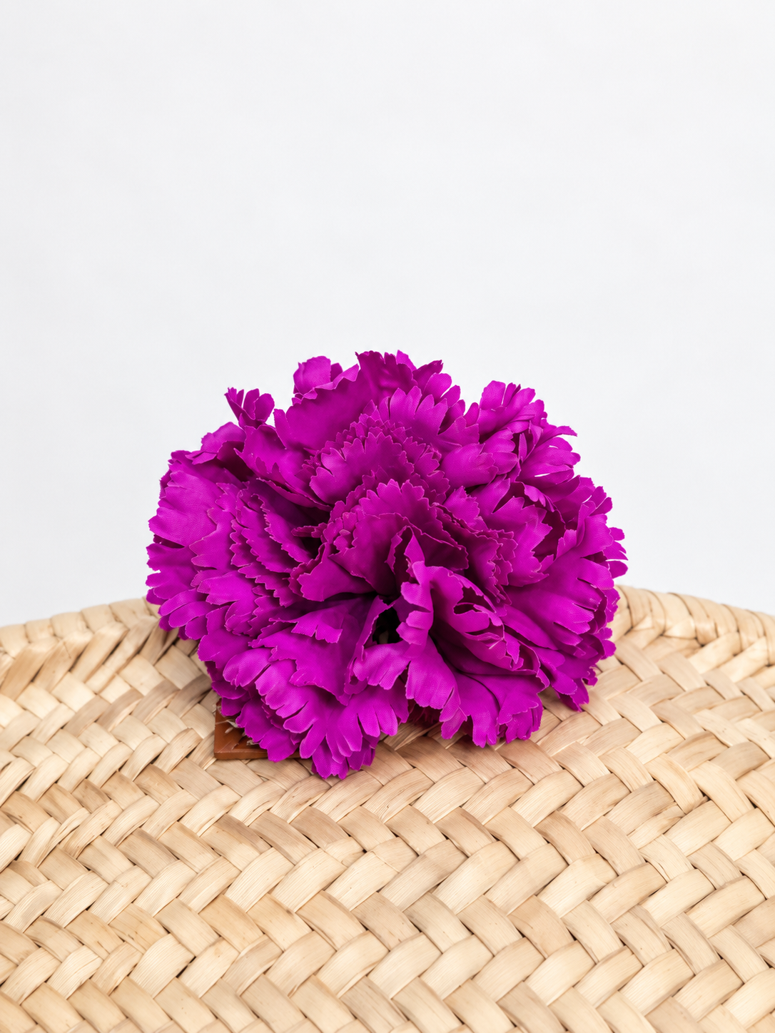 CLAVEL DE FLAMENCA EXTRA