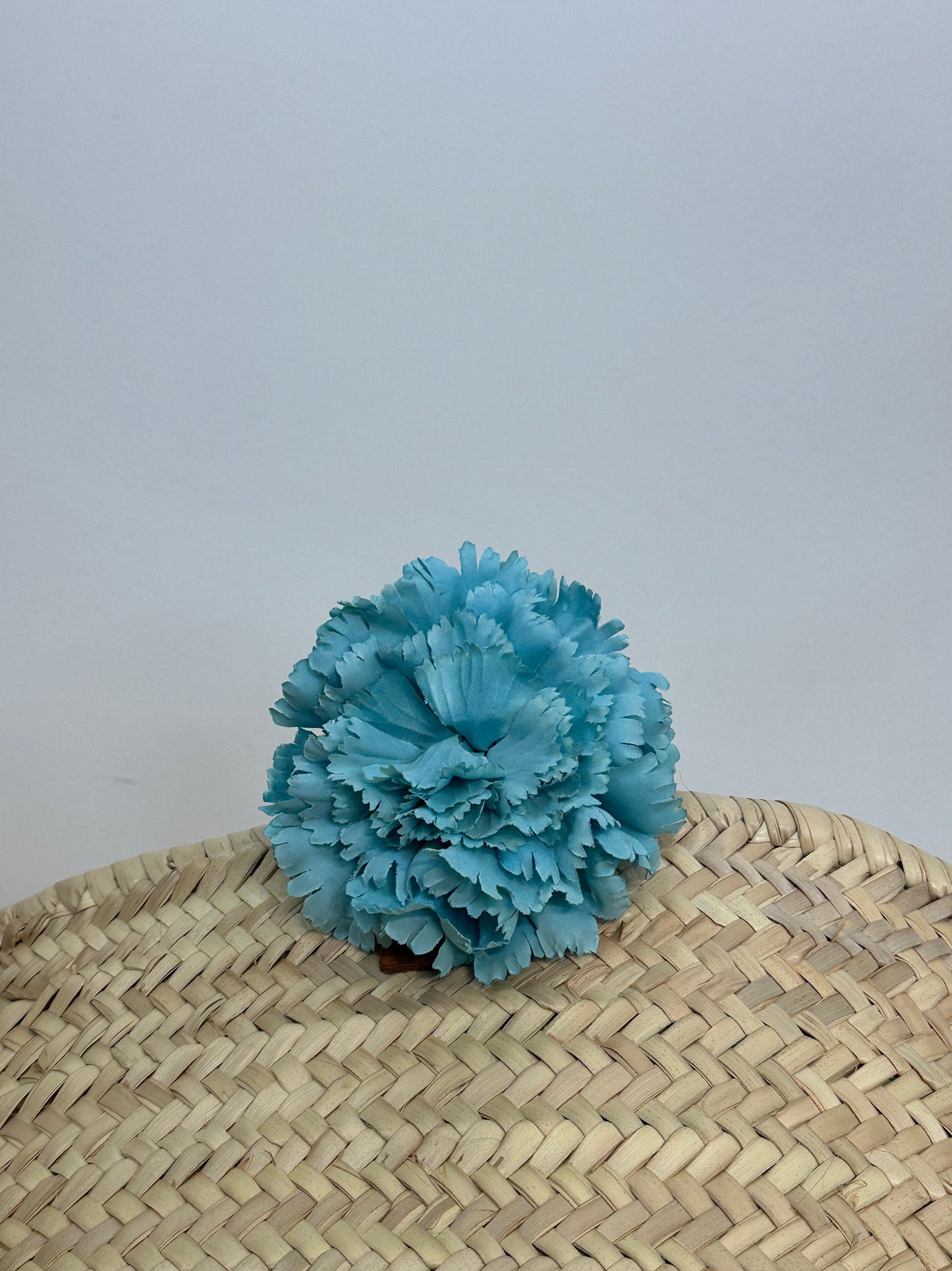 CLAVEL DE FLAMENCA EXTRA