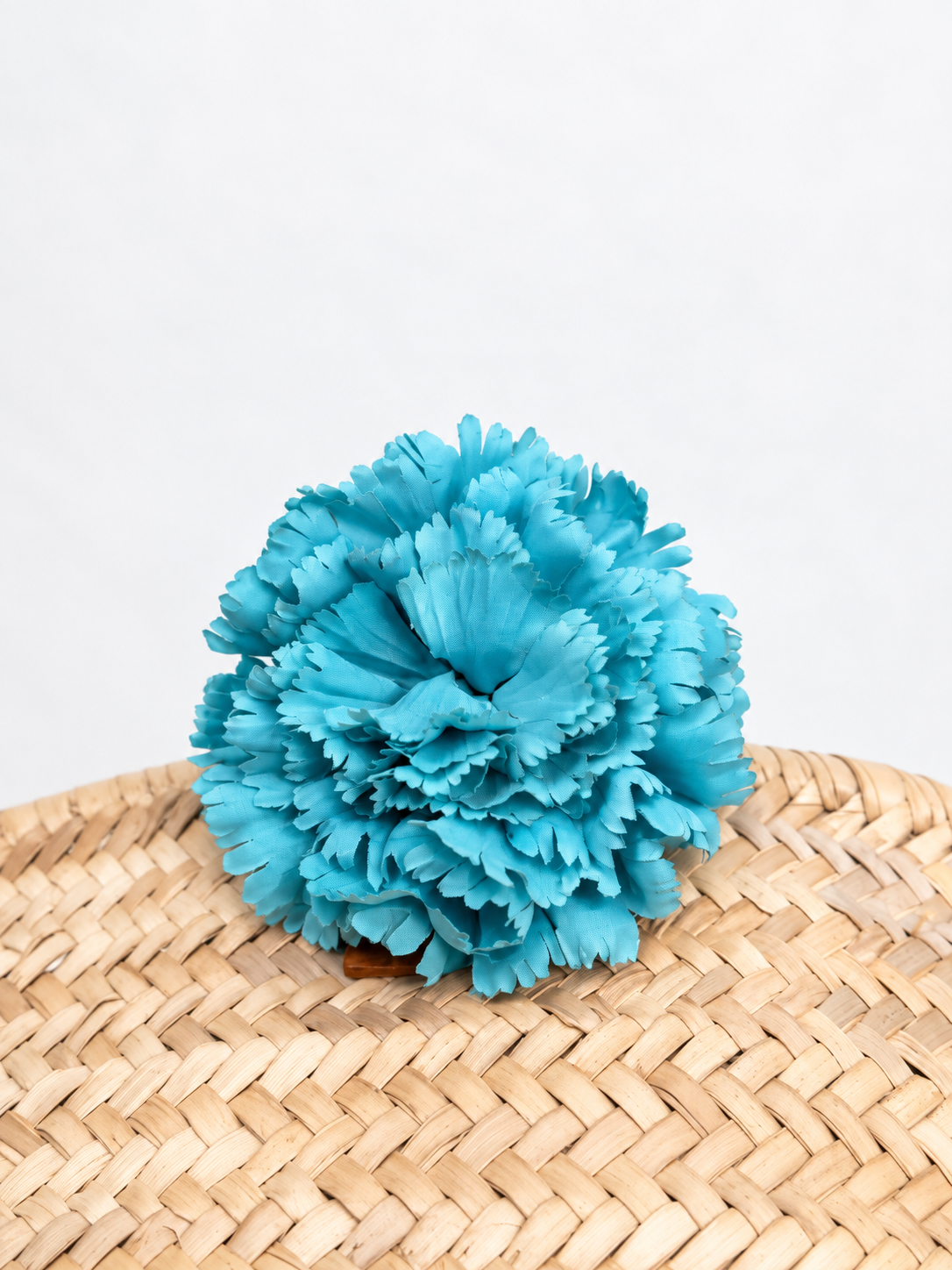 CLAVEL DE FLAMENCA EXTRA