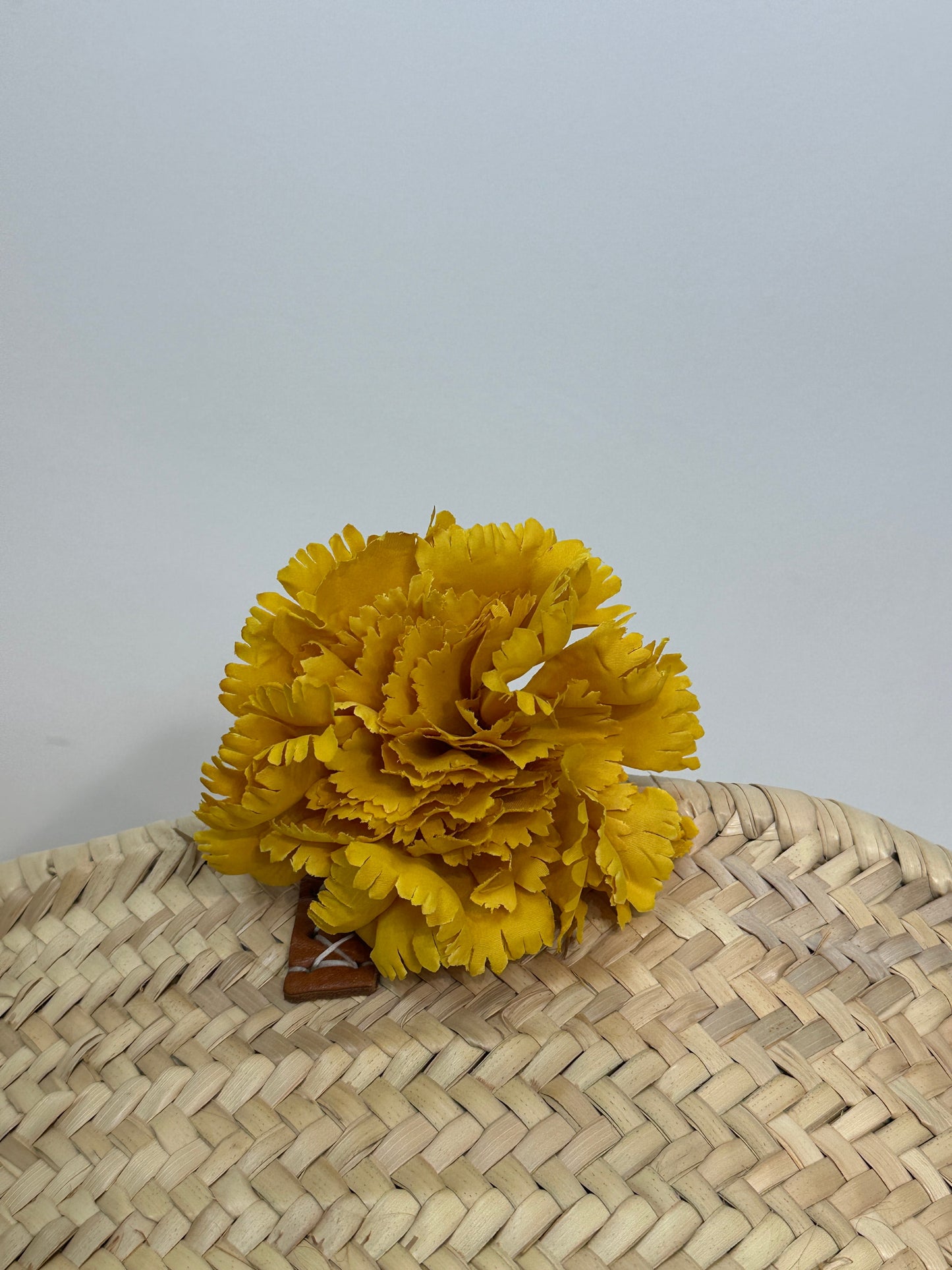 CLAVEL DE FLAMENCA EXTRA