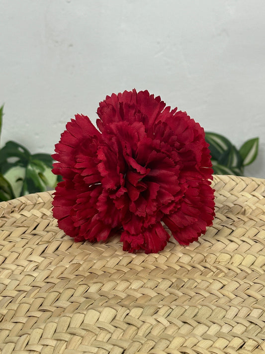 CLAVEL PLANO FLAMENCA