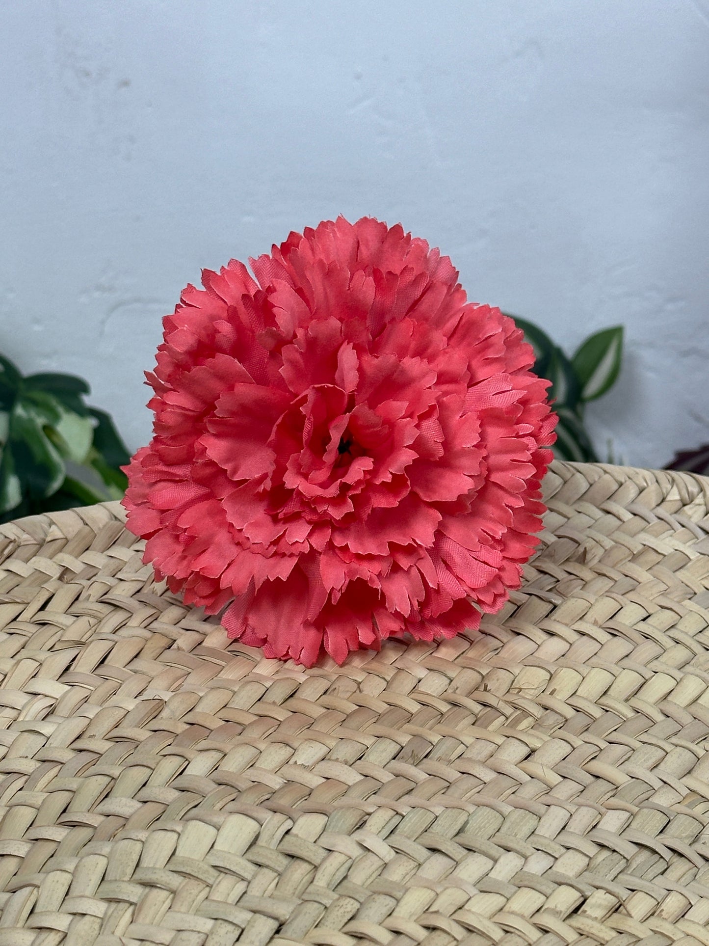 CLAVEL PLANO FLAMENCA