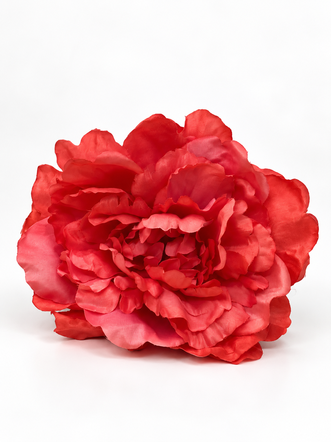 PEONIA AURORA FLAMENCA
