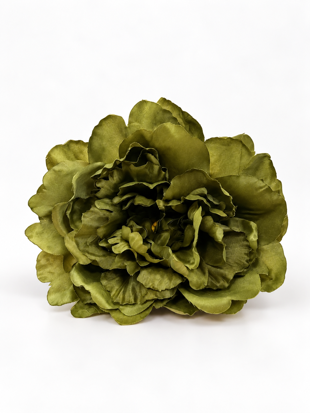 PEONIA AURORA FLAMENCA