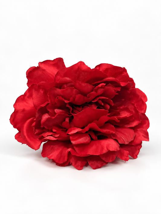 PEONIA AURORA FLAMENCA