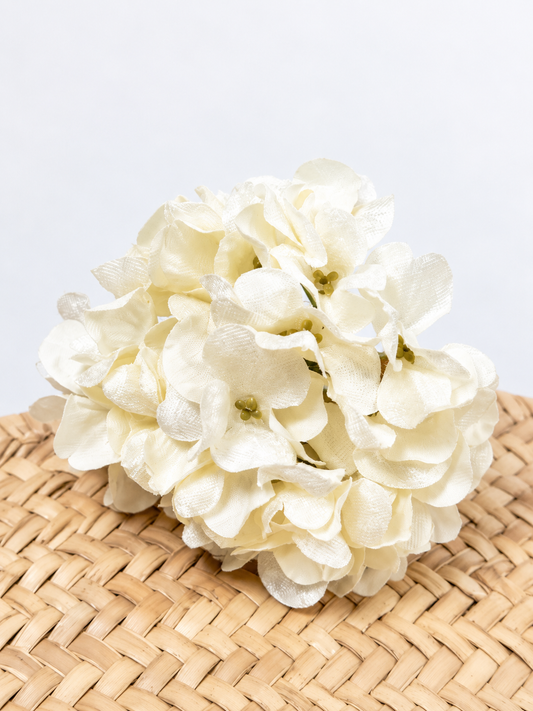 HORTENSIA DE TERCIOPELO FLAMENCA