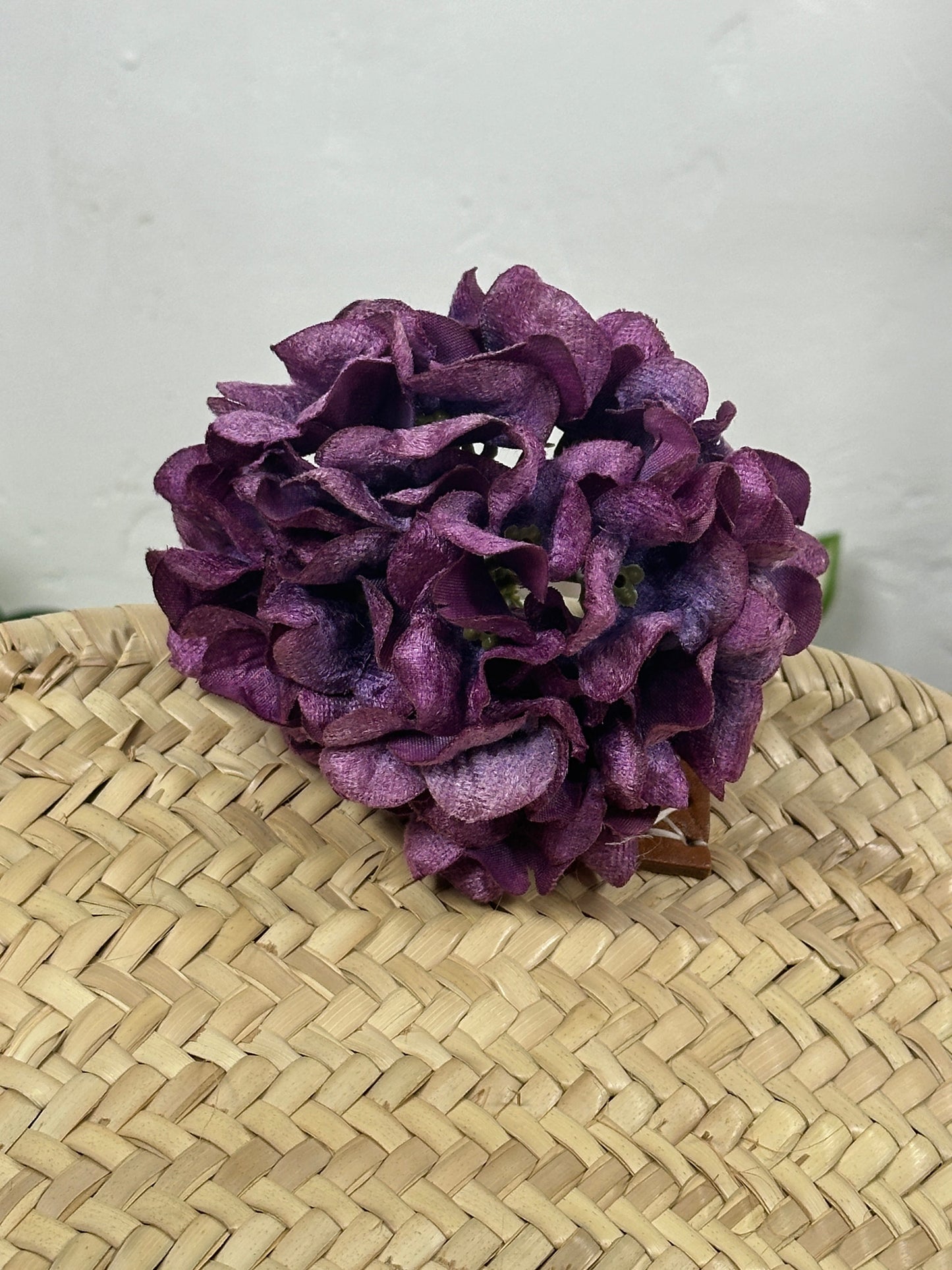 HORTENSIA DE TERCIOPELO FLAMENCA