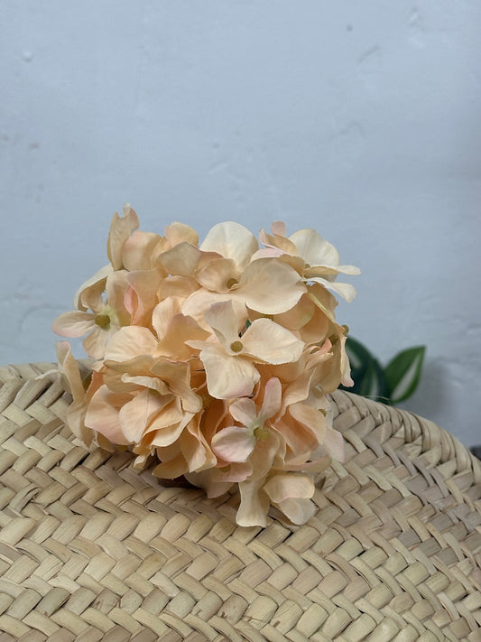 HORTENSIA MIMI FLAMENCA