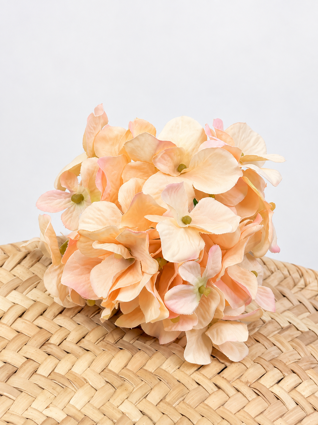 HORTENSIA MIMI FLAMENCA