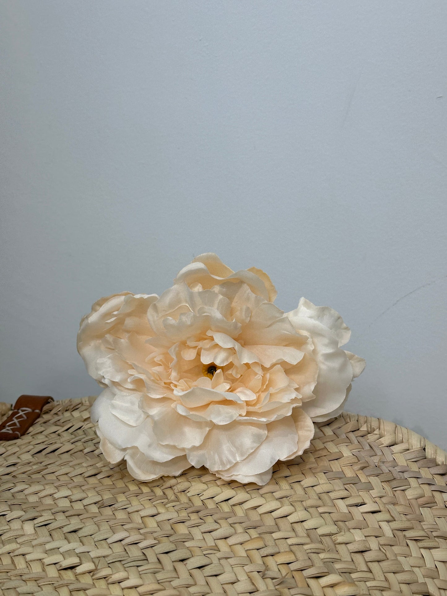 PEONIA AURORA FLAMENCA