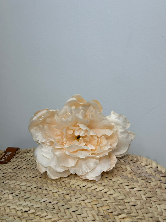 PEONIA AURORA FLAMENCA