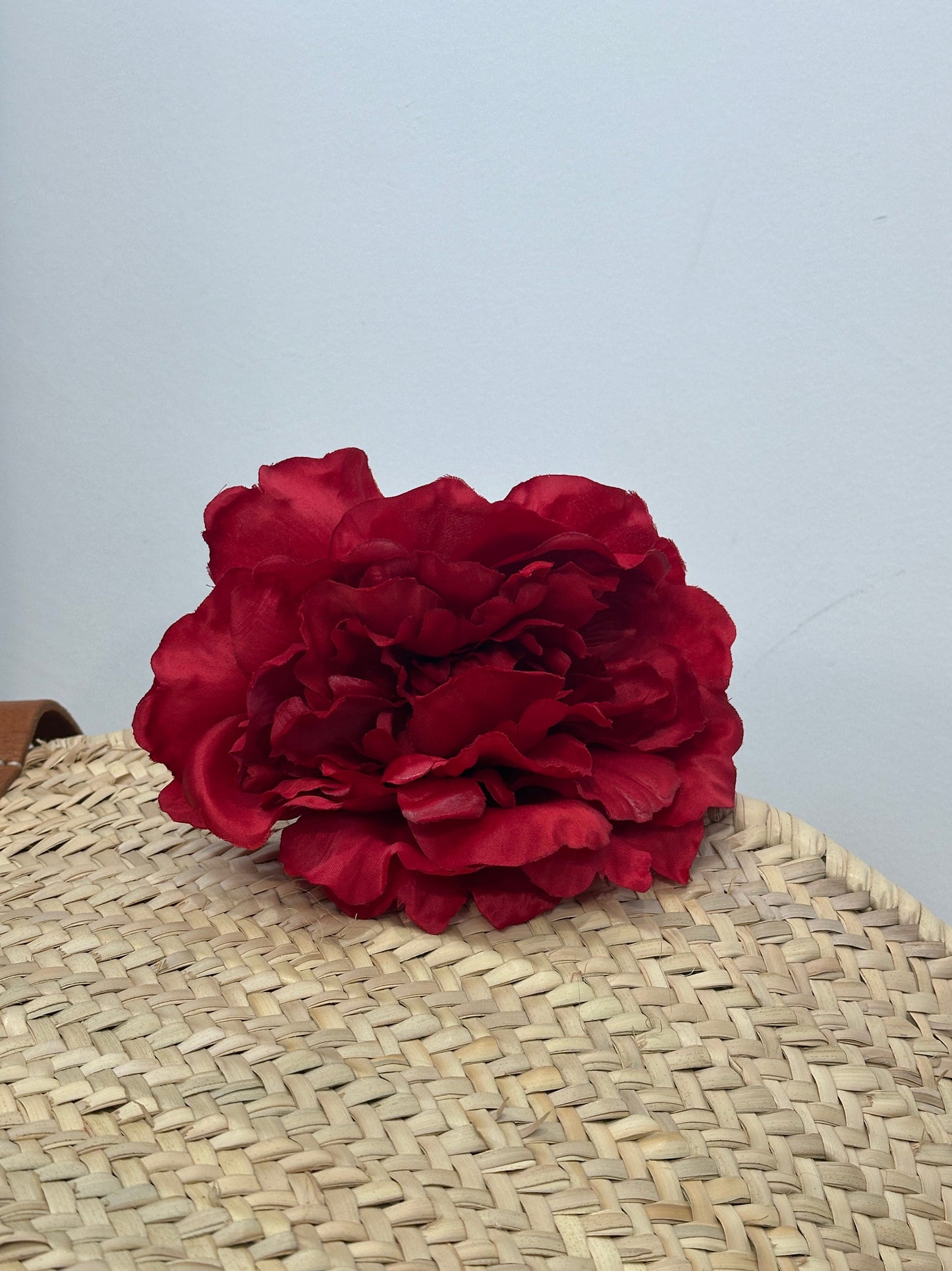 PEONIA AURORA FLAMENCA