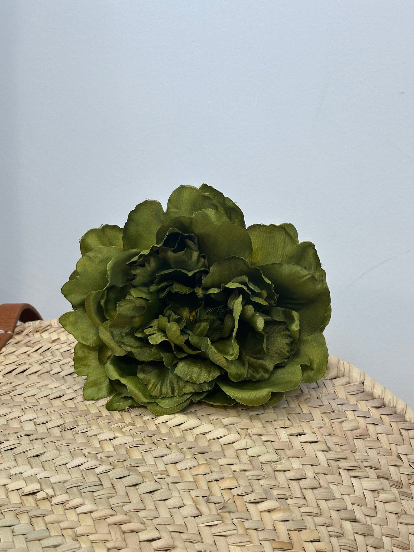 PEONIA AURORA FLAMENCA