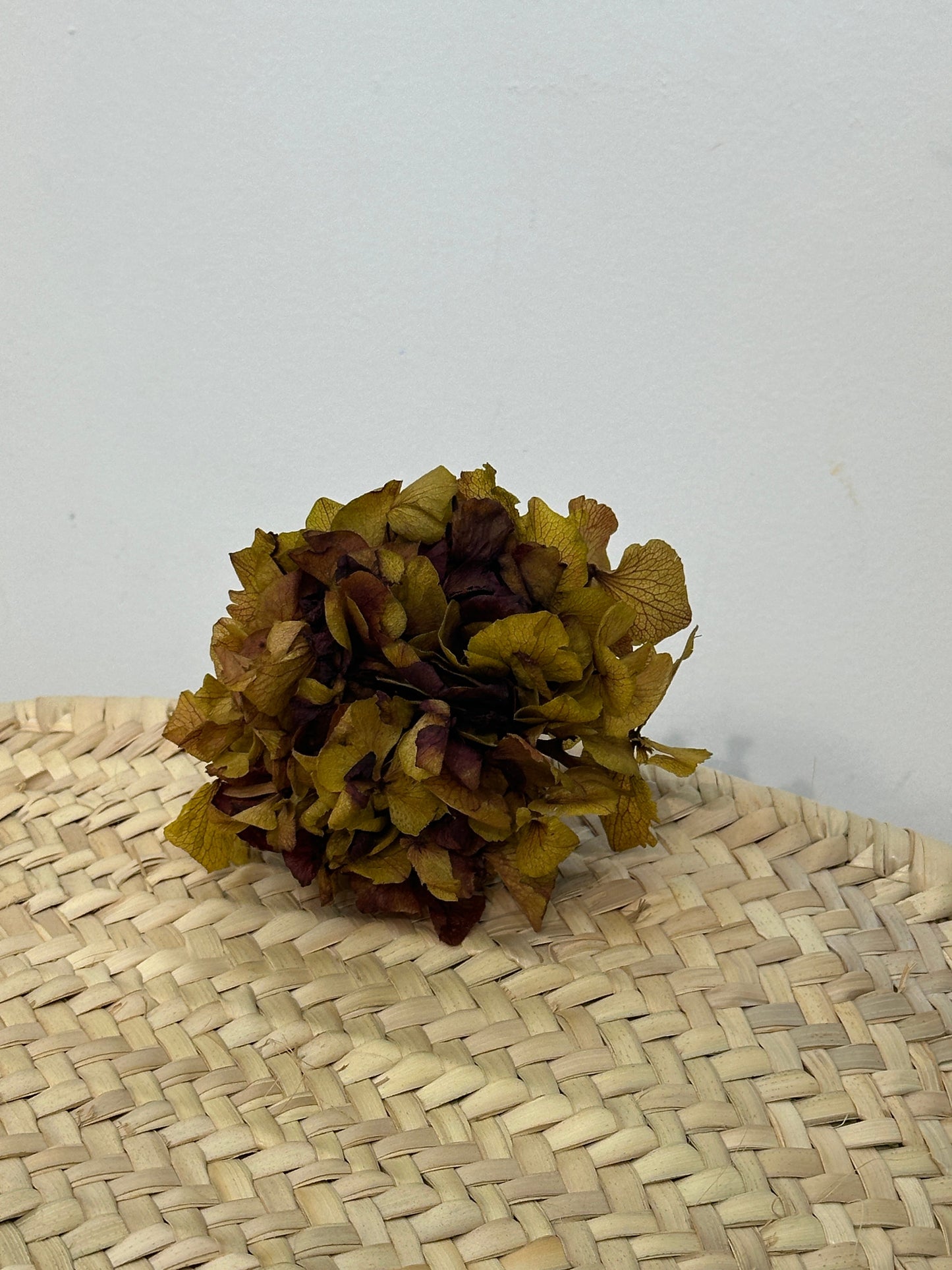 RAMILLETE HORTENSIAS PRESERVADAS