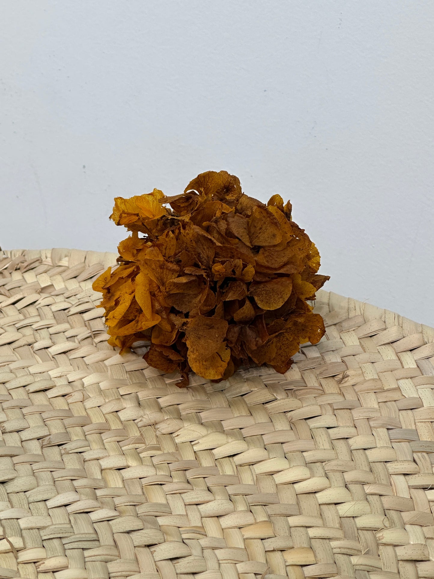 RAMILLETE HORTENSIAS PRESERVADAS