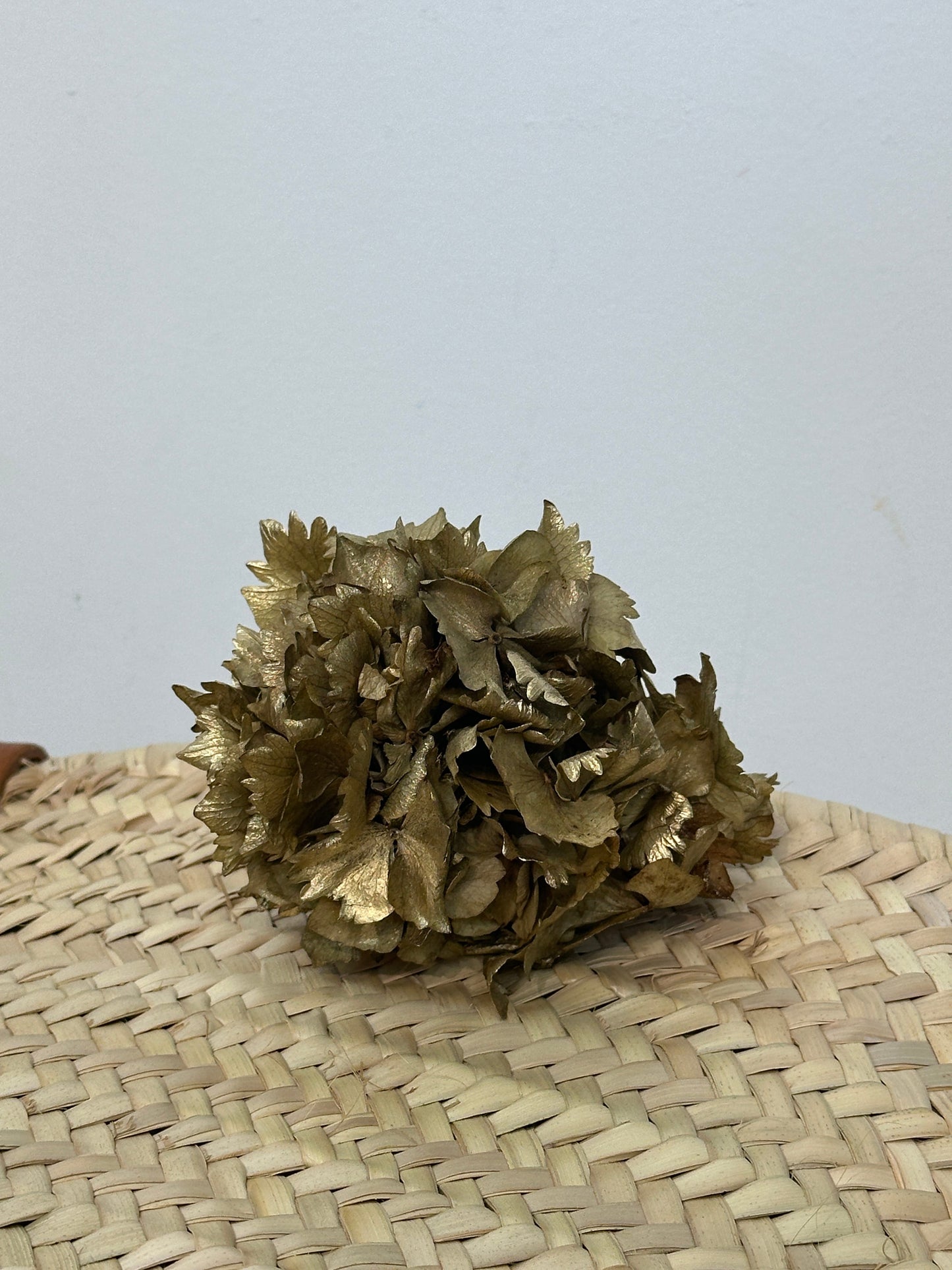 RAMILLETE HORTENSIAS PRESERVADAS