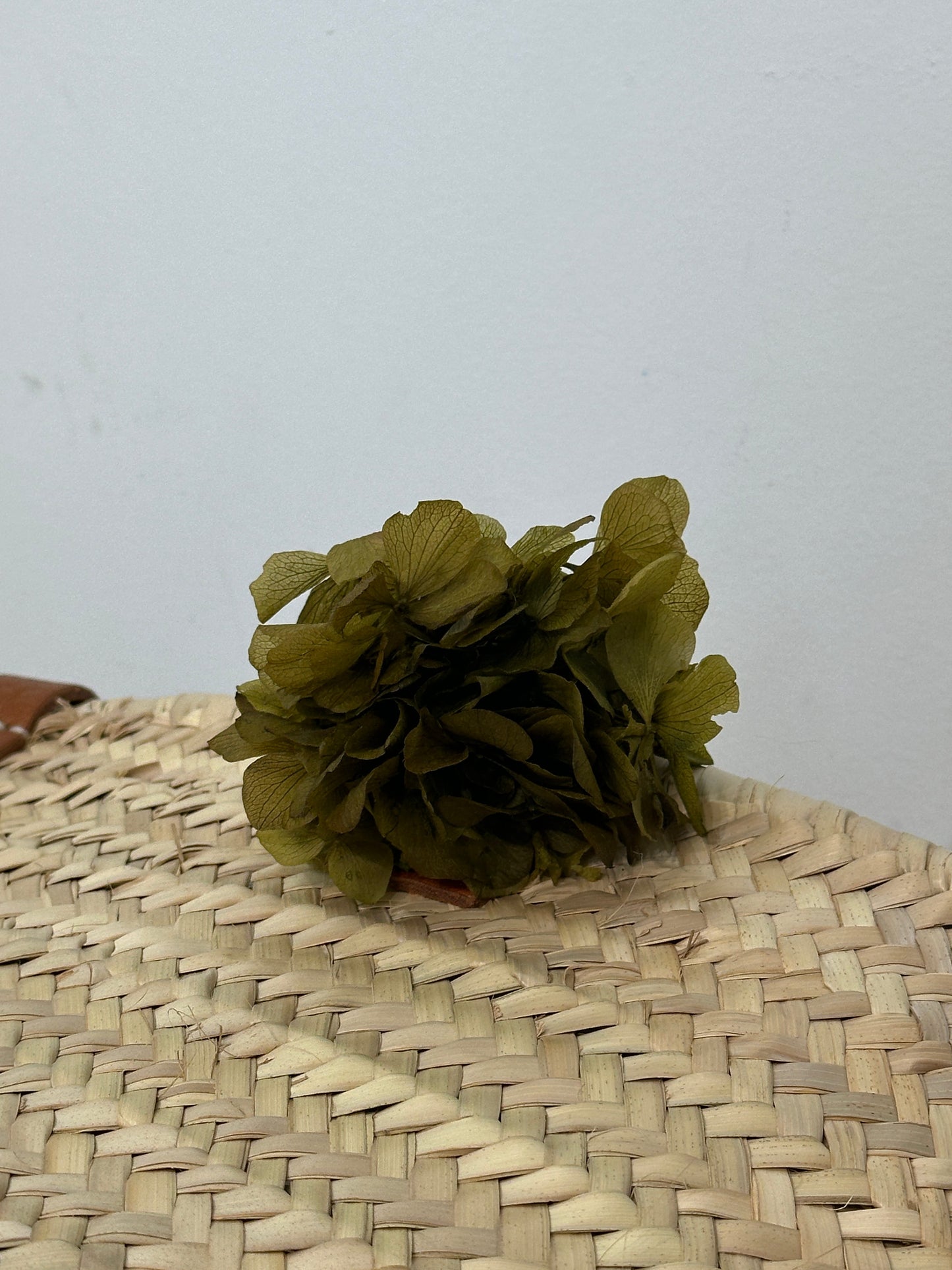 RAMILLETE HORTENSIAS PRESERVADAS