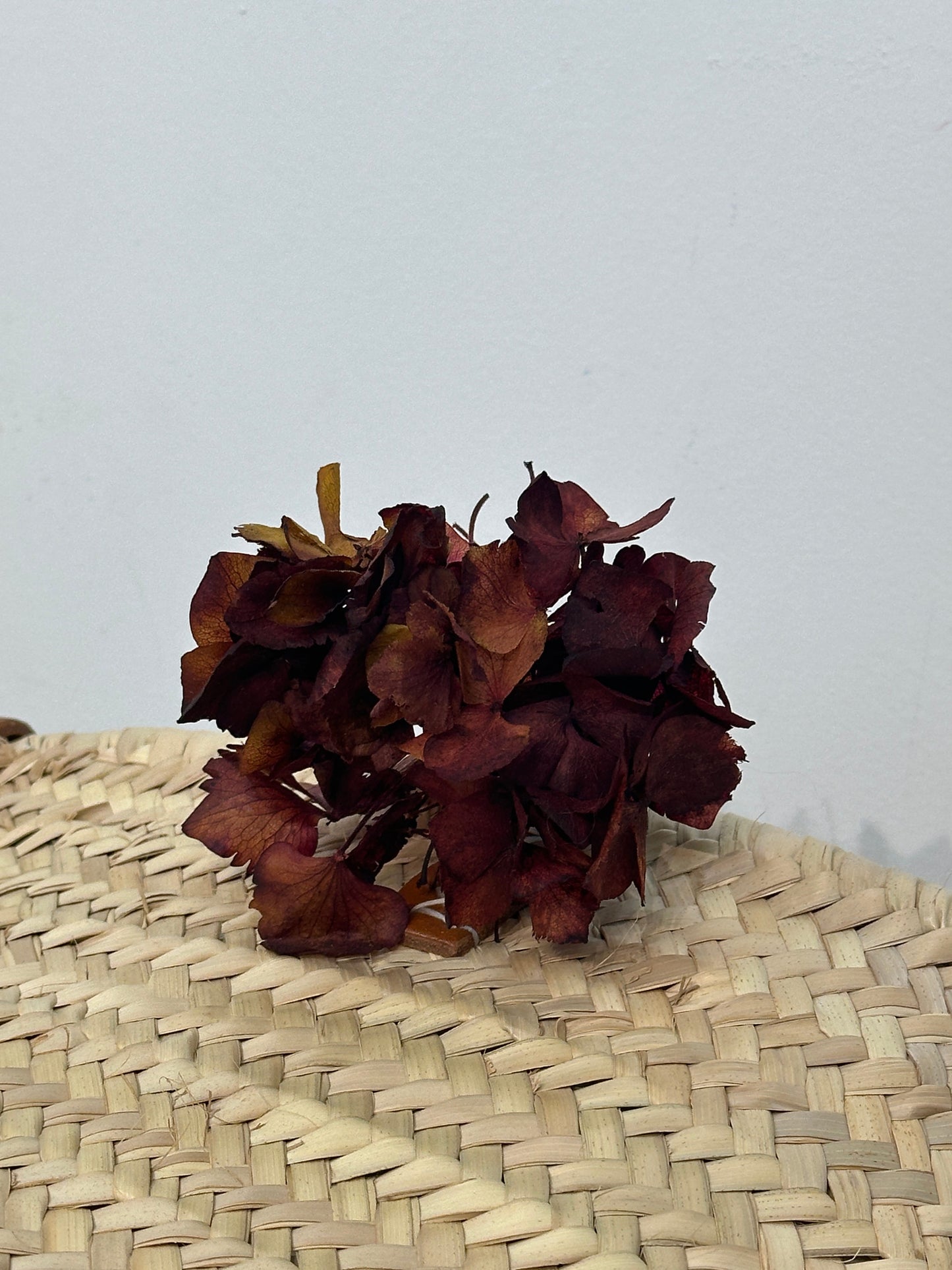 RAMILLETE HORTENSIAS PRESERVADAS