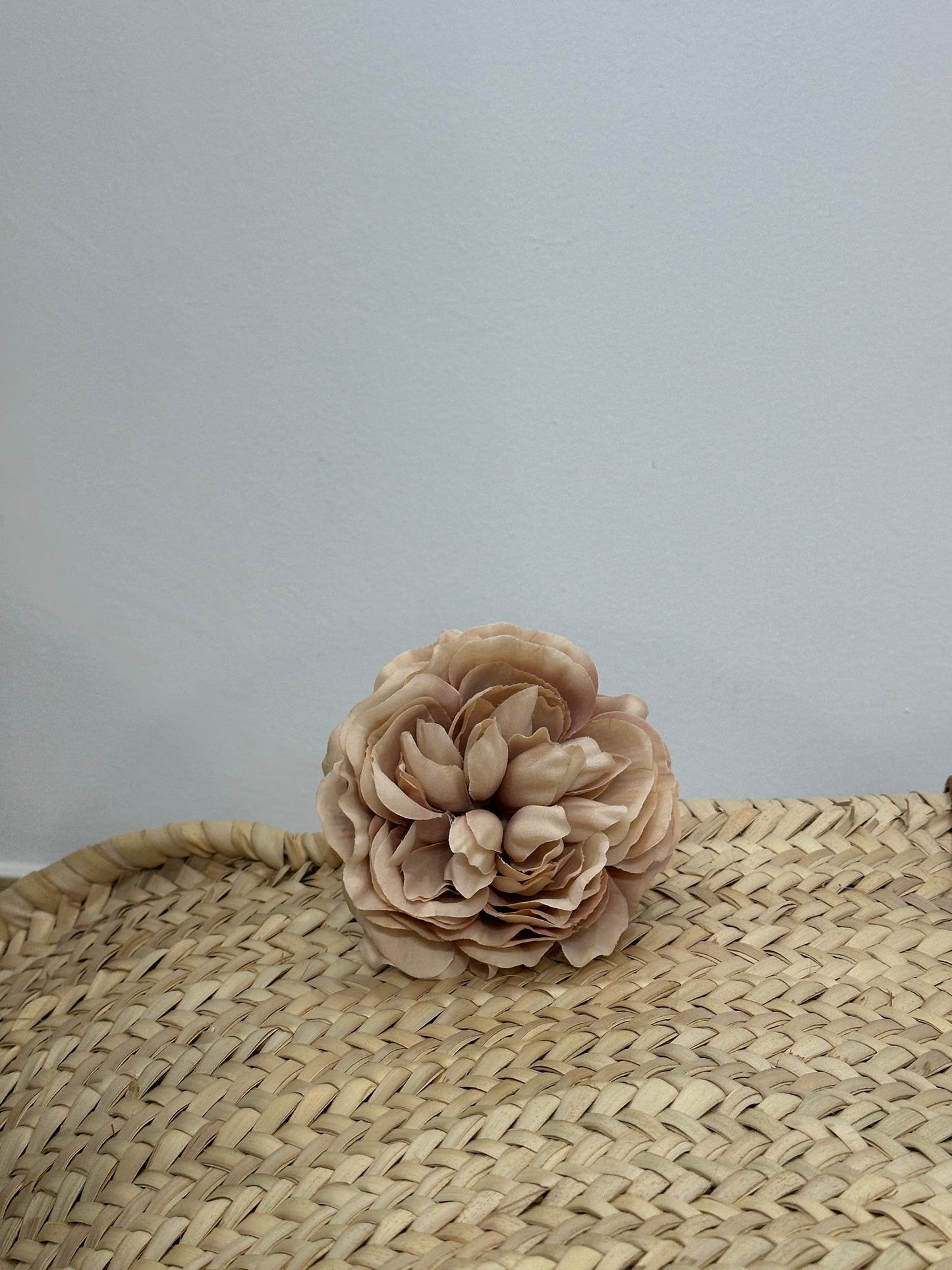 ROSA PEQUEÑA FLAMENCA